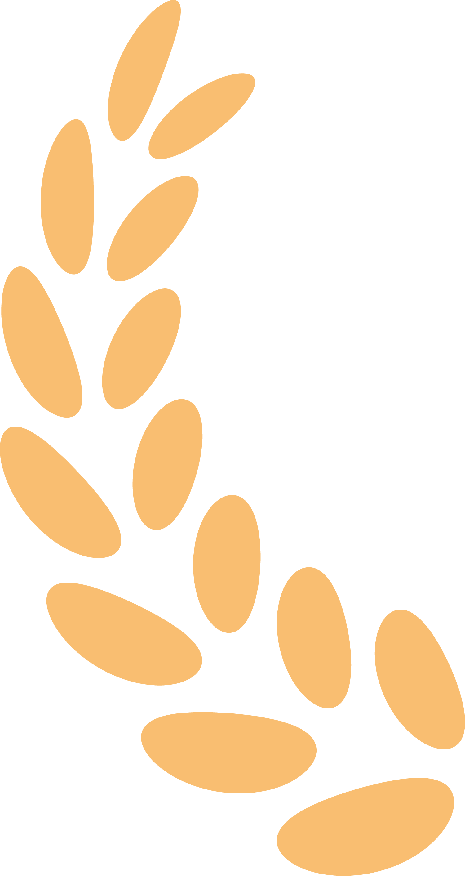 24765b3c14a8aa5019ccc94413d84d2c_sz-80927.png
