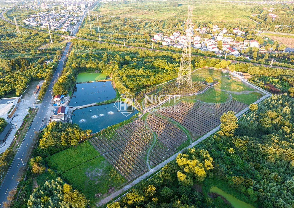 06-2苗木轉(zhuǎn)型.jpg